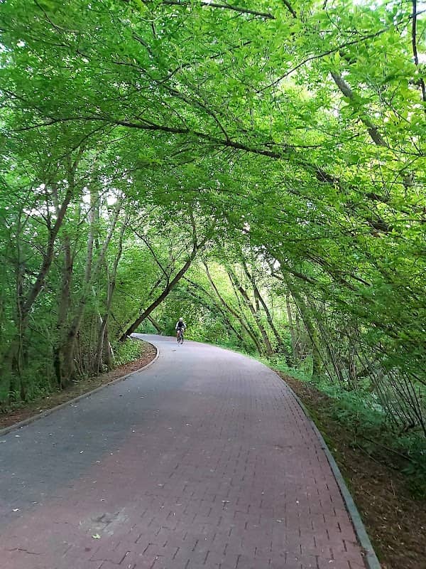 Zielony tunel - Image 3