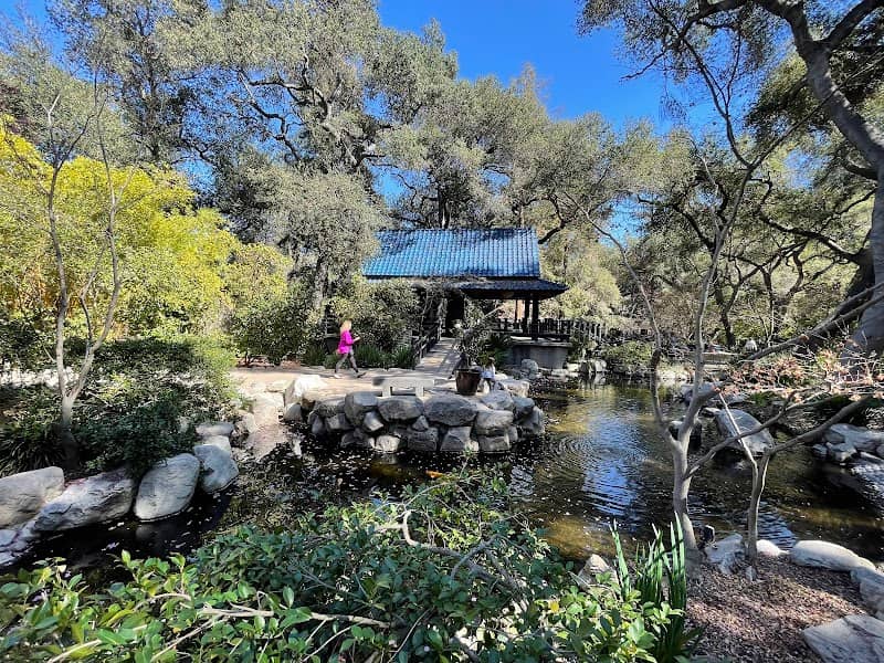 Japanese Garden - Image 1