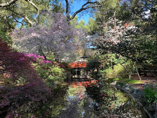 Japanese Garden - Image 2