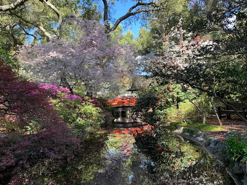 Japanese Garden - Image 2