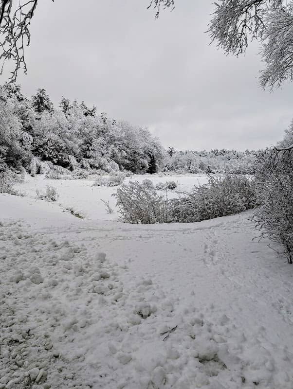 Massasoit Trails - Image 1