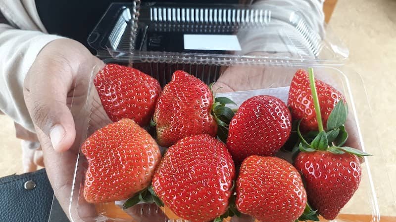 Strawberry Krincing Hill - Image 1