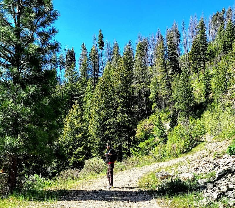 Wilson Creek Trailhead - Image 1