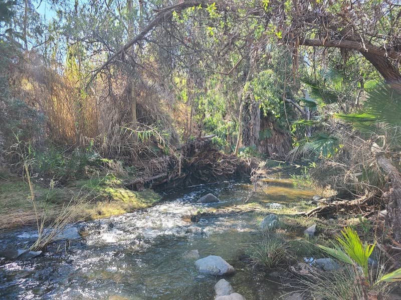 Wildflower Trail - Image 2