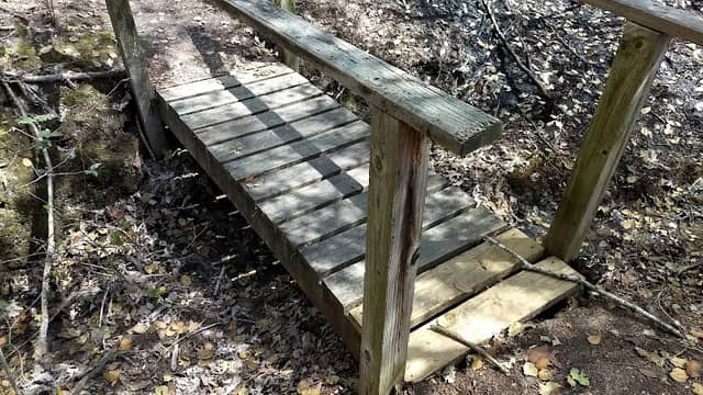 Densons Creek Nature Trail - Image 2
