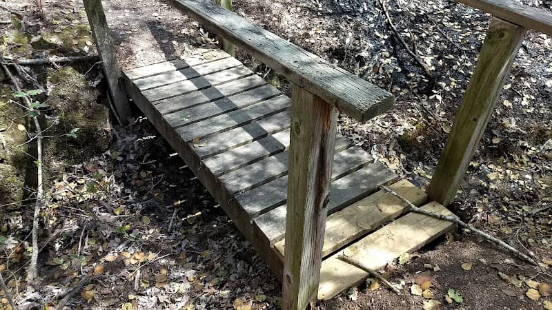 Densons Creek Nature Trail - Image 2