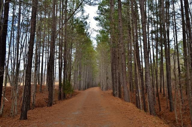 American Tobacco Trail - White Oak Church Road Access - Image 2