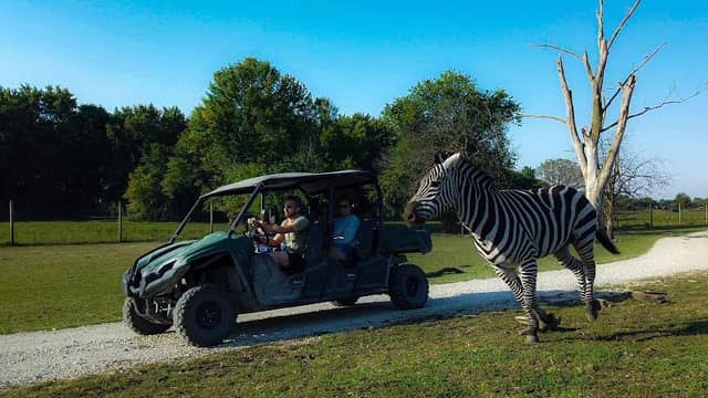 Aikman Wildlife Adventure - Image 1