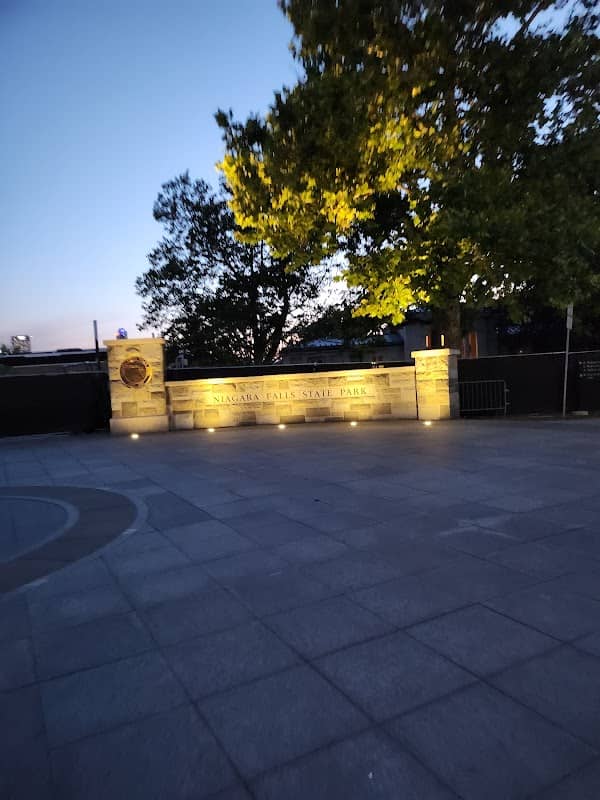 Jayne Park - Image 2