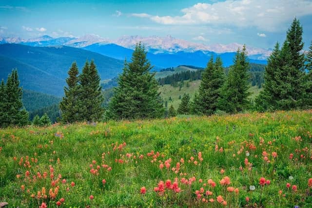 Shrine Pass - Image 1