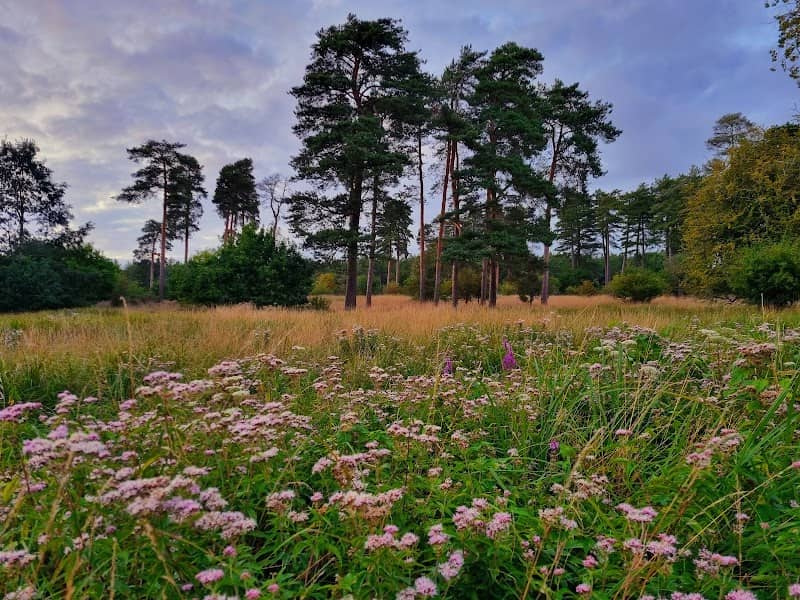Little Ouse Path - Image 2
