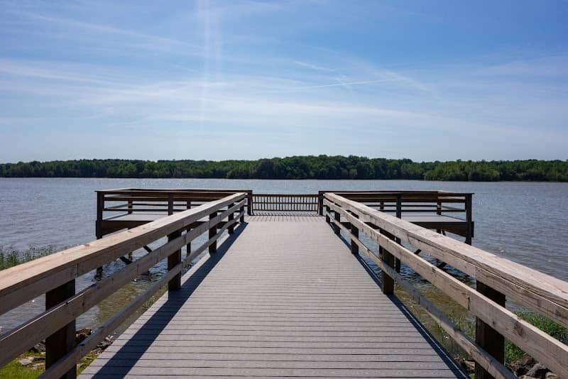Lake Frierson State Park - Image 1