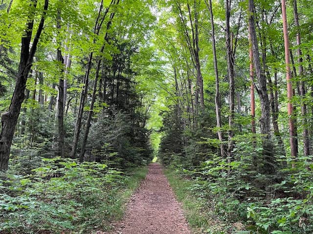 Timbers Recreation Area - Image 2