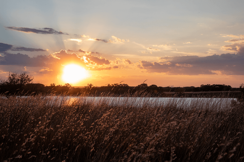 Foss State Park - Image 1
