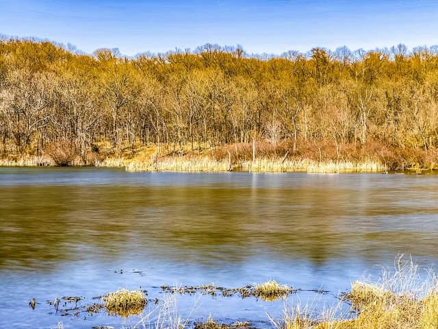 Bird hide - Image 2