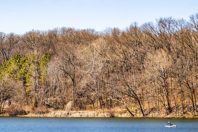 Bird hide - Image 1