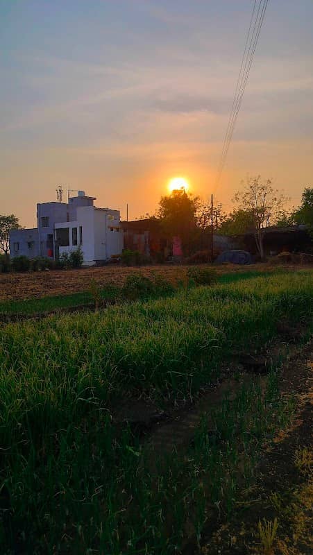 Patilba Farms - Image 1