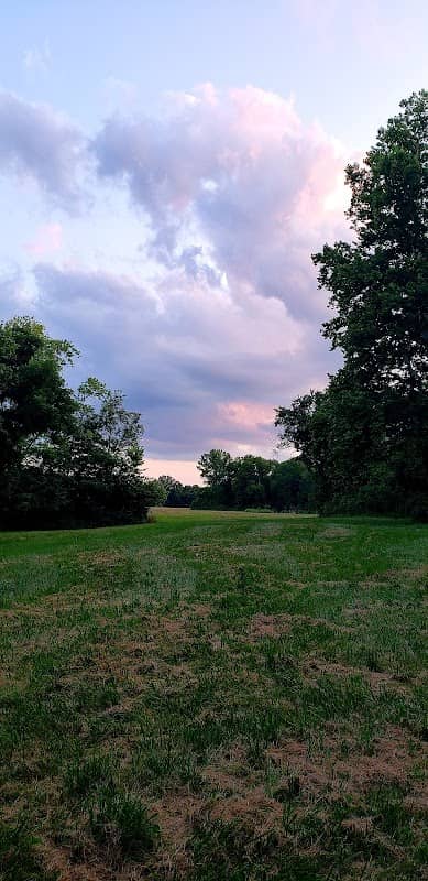 Walnut Creek Trail - Image 1