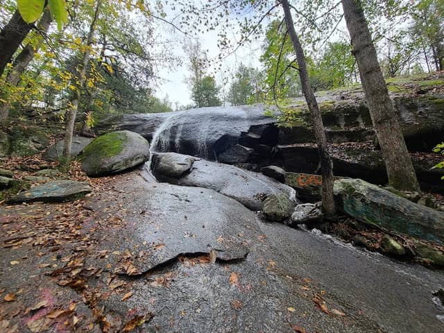 40 Acre Rock Heritage Preserve - Image 1