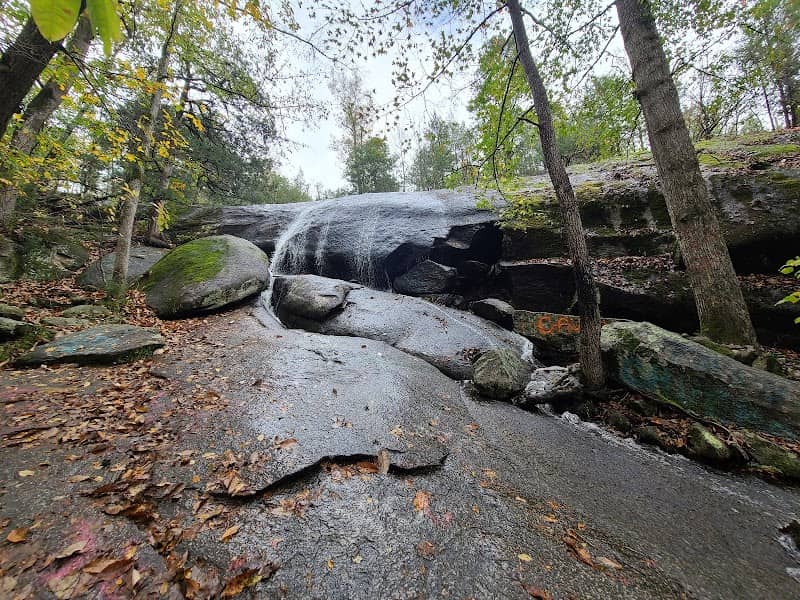 40 Acre Rock Heritage Preserve - Image 1