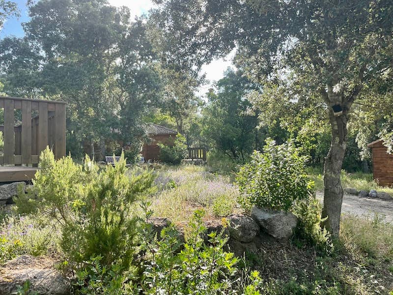 L'Aravone Lodge - Image 2