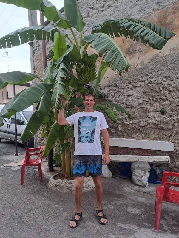 Il banano di Tropea - Image 2