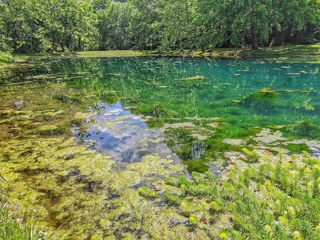 Flint Creek Nature Area - Image 2