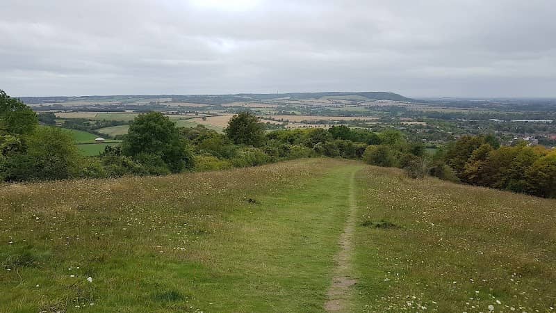 Brush Hill Nature Reserve - Image 1