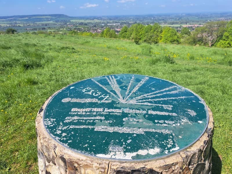Brush Hill Nature Reserve - Image 2