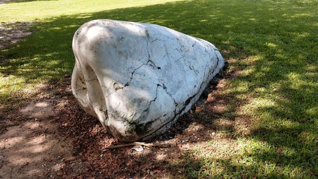 Nose Park - Image 2