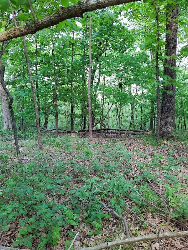 Forrest Staley County Park - Image 1