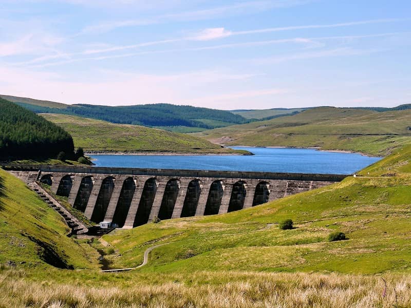 Nant-y-moch Reservoir - Image 1