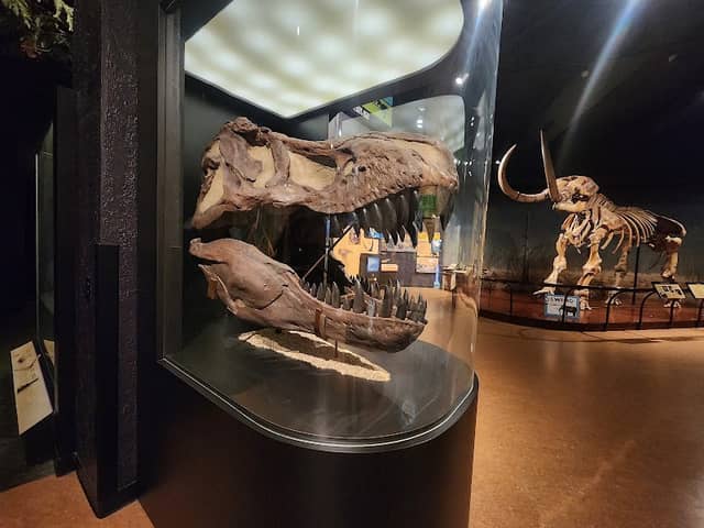 State Museum of PA - Image 1