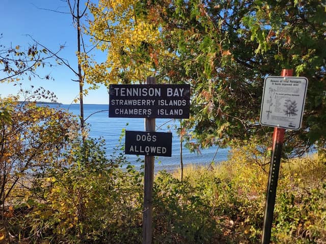 Tennison Bay Outlook - Image 1