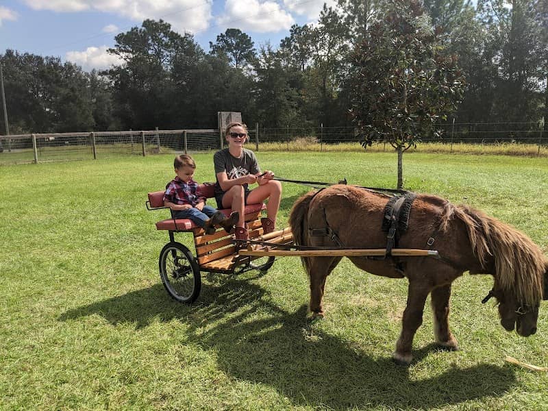 Sugar Camp Ranc. (Berry) - Image 2