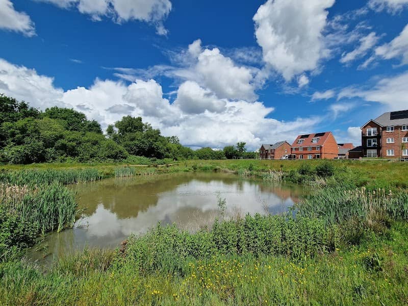 Le Marechal Avenue Middle Pond - Image 2