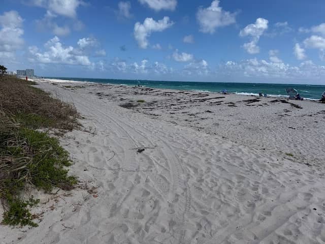 Dania beach - Image 2