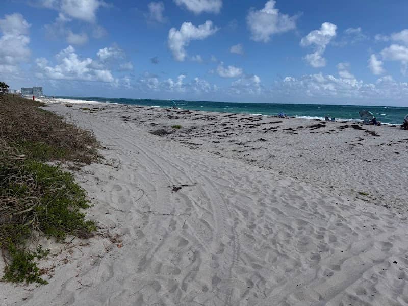 Dania beach - Image 2