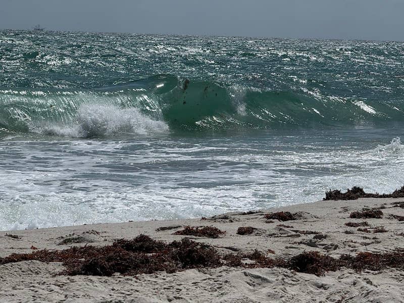 Dania beach - Image 1