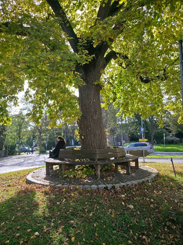 kreisförmige Bank - Image 1
