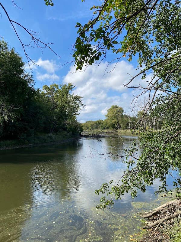 Dam No. 4 Woods-East - Image 1