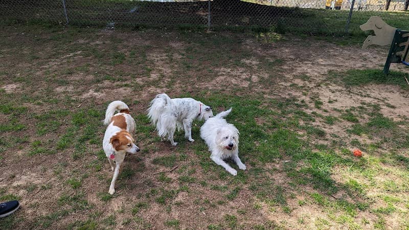 Rabun County Bark Park - Image 2