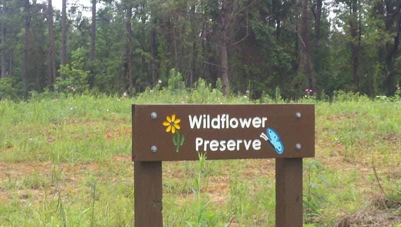 Della's Wildflower Meadow - Image 1