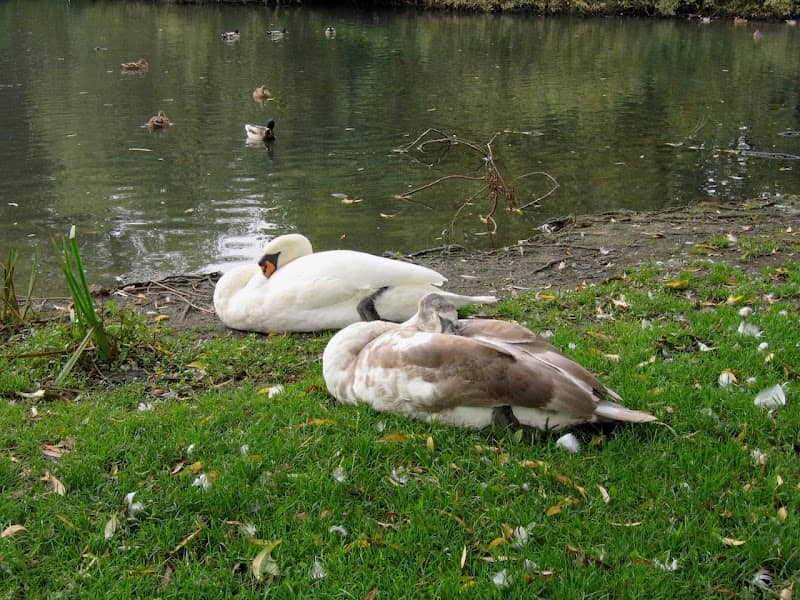 Kingfisher Lake - Image 2