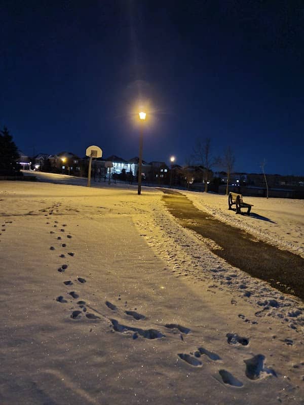 Guiness Park - Image 1