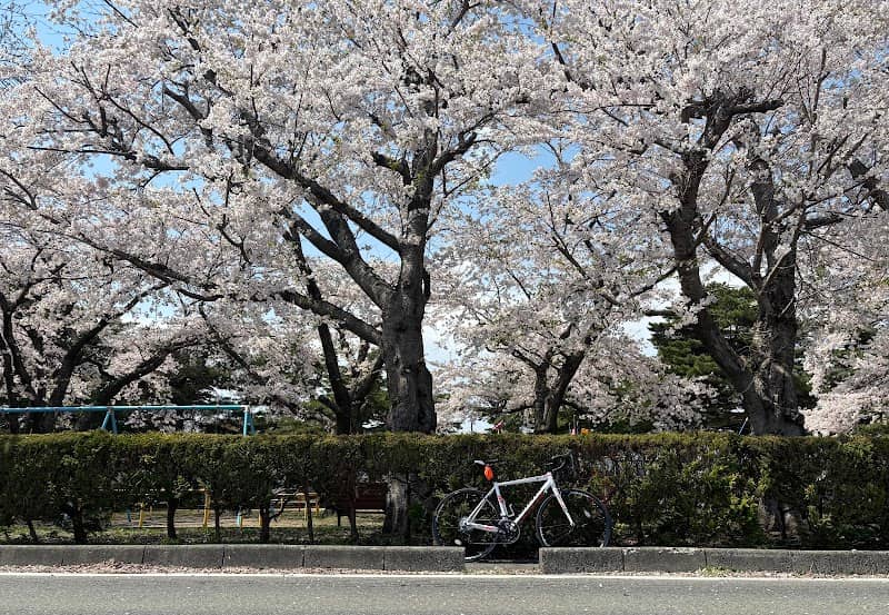 Matsuzono Park - Image 1