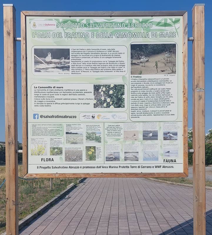 Oasi del Fratino e della Camomilla di mare - Image 1