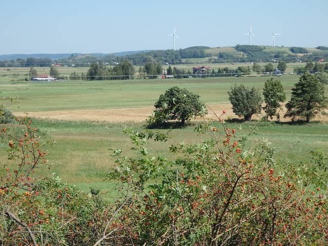 Punkt widokowy - Image 1