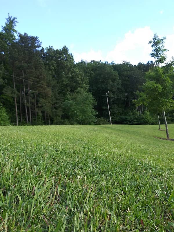 Irondale Municipal Park/ Beacon Park - Image 1