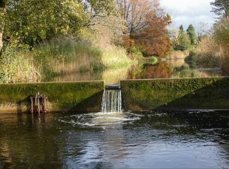 Burgemeester Godwaldtpark - Image 2